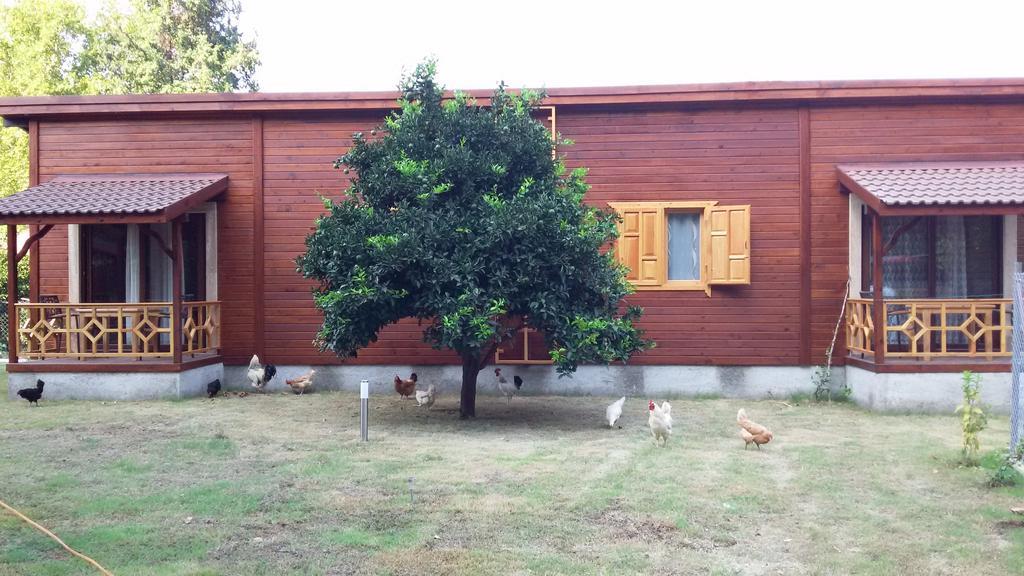 Maji Village Çıralı Habitación foto