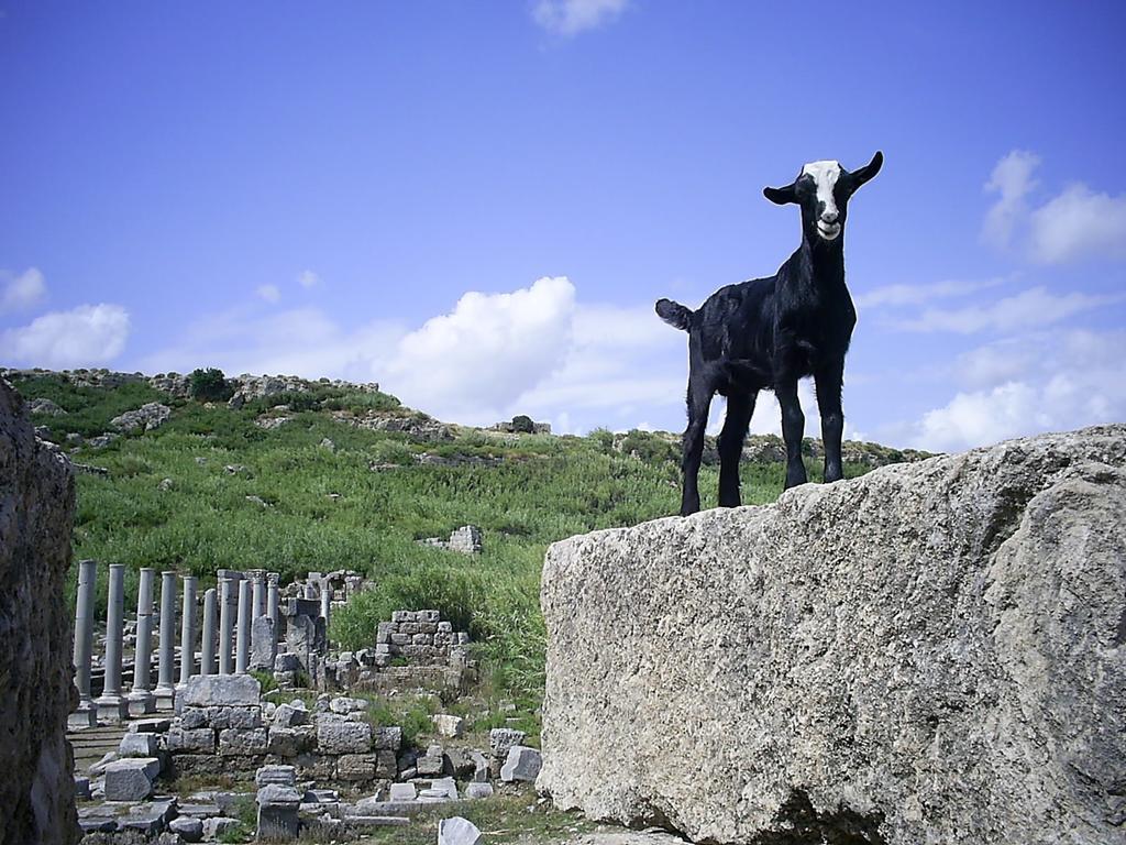 Maji Village Çıralı Exterior foto